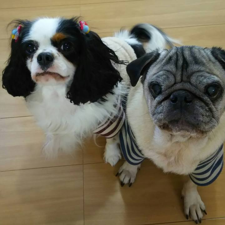 01432e75 5a03 49f2 98c7 54f024e0c26a