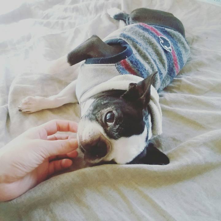 0143cf1d b07f 4294 bf97 58f74ef6c145