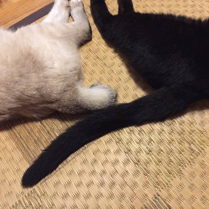 0143f9b5 2686 49ef bc9e 06041f8bf673