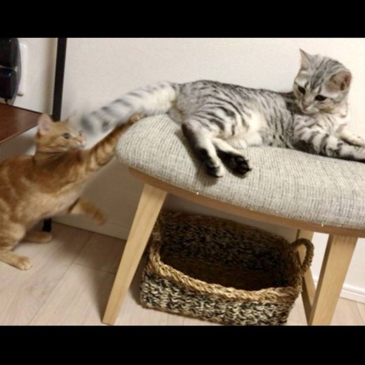 0145d674 f978 44bf 9e08 002ab525a60a