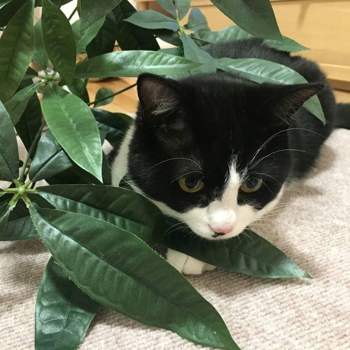 0145e2c3 c322 4b30 a315 2b8cd9d81324