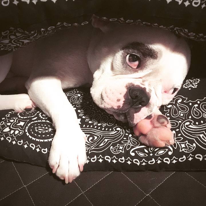 014680bd 9bc0 4808 989c 320fccc907f1