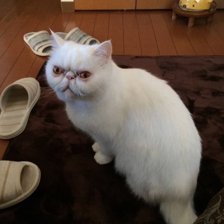 0146df02 418b 4d94 9a11 3ab7e2975a4b