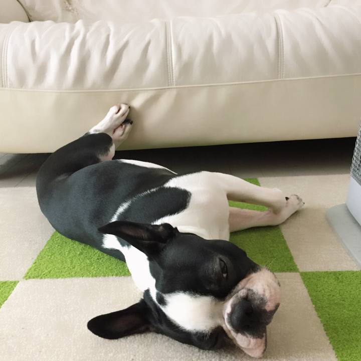 0146f649 883a 412e a09f eeafcf937ef8