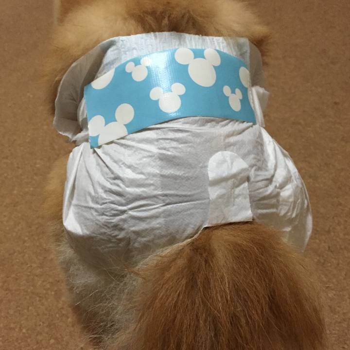 0147590f 7d75 479f aa9d 615b9d7275a4