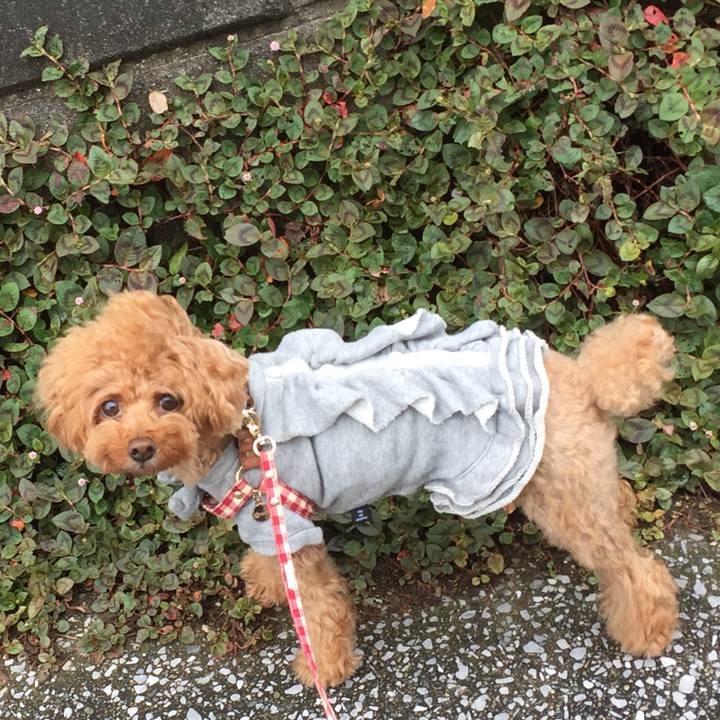 01478f01 8122 45f2 be1c a0c1fe0f1aca