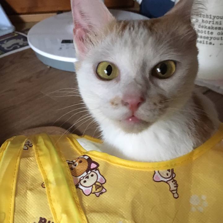 0148489a 3acd 41c8 a040 3737c3584b62