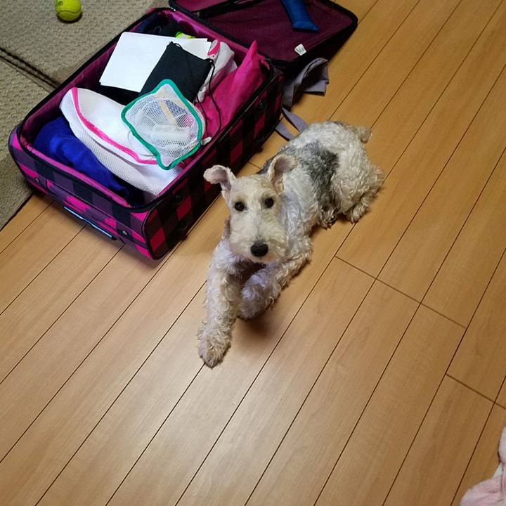 01487762 41f4 4cbd b8fa 9f36fbcc50d6