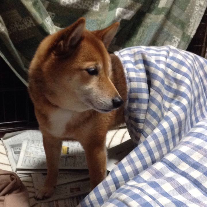 01491ea8 b408 433a a253 469d5b57bc1c