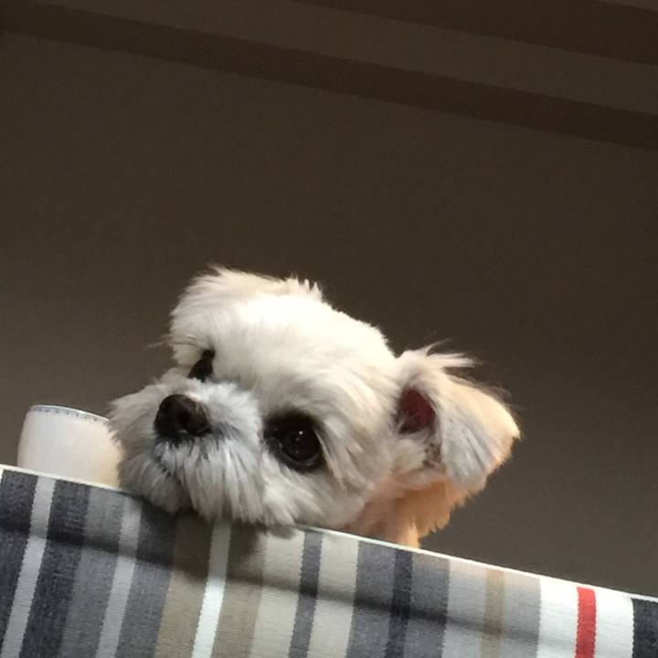 0149665e dc58 48b2 a274 c2000af2cf5a