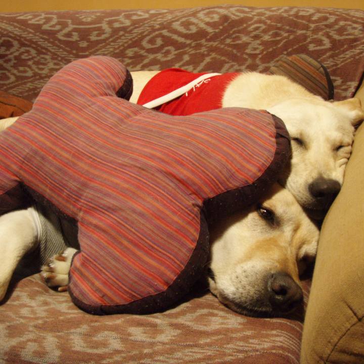 0149e47b fc75 4f72 a360 3bc83de5083b