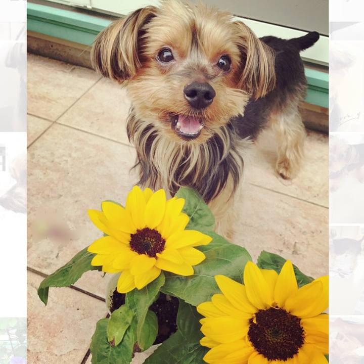 0149eeaa 8b6c 4066 8fd8 232d933f10d0