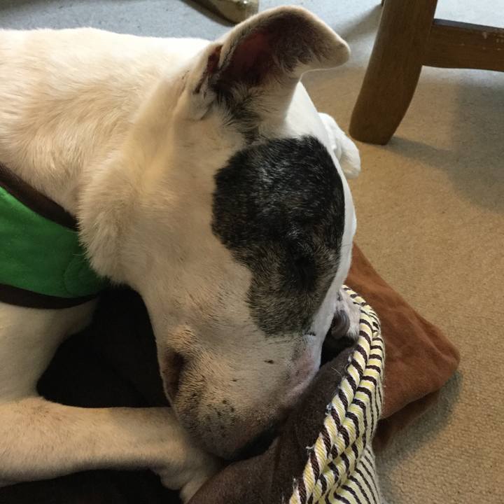 014a7282 1978 41ed baf0 62ec437f83ed