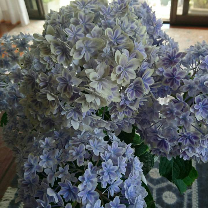 014af7c4 7b3b 412b a493 69be78d95b92