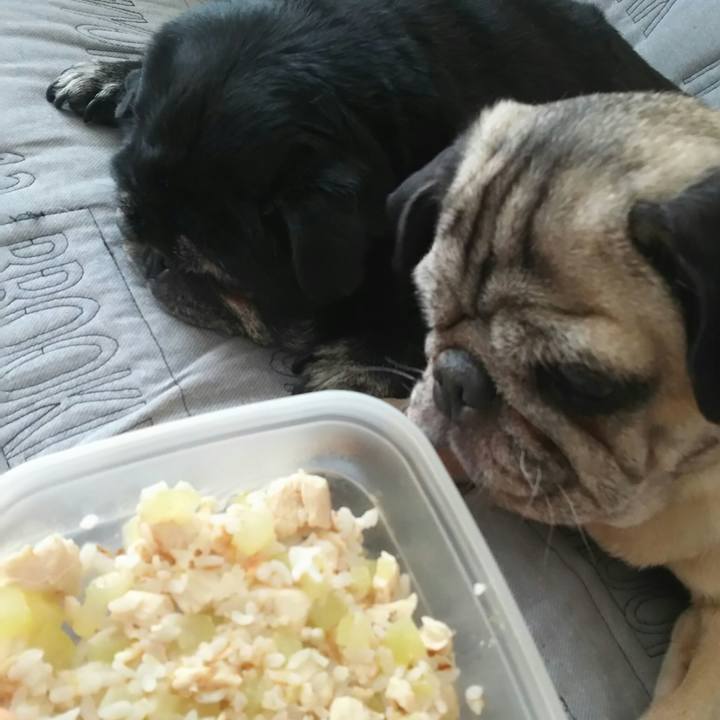 014b9a51 ba7f 49f0 a9f0 2d296a9280e3