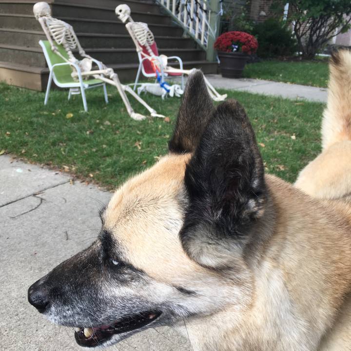 014cc43b b7f8 495c 928d 79d337ffa5a6