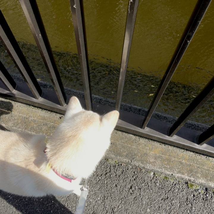 014ce6ed 11d7 42f6 bb72 8cd85d7bbb75