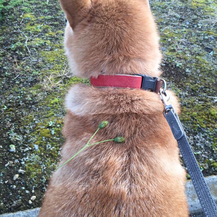 014d257c 89d7 46e7 b3b3 e7590552ddb5