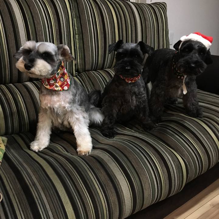 014d3b5d 36e2 4731 92c0 6f345557efa4