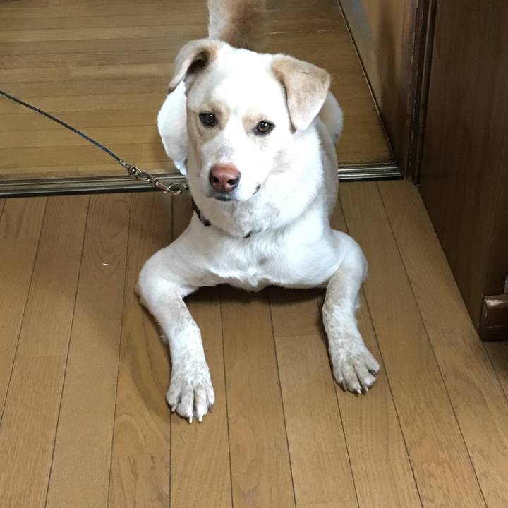 014eaaa8 420b 41cb ac38 4b8781138bb8