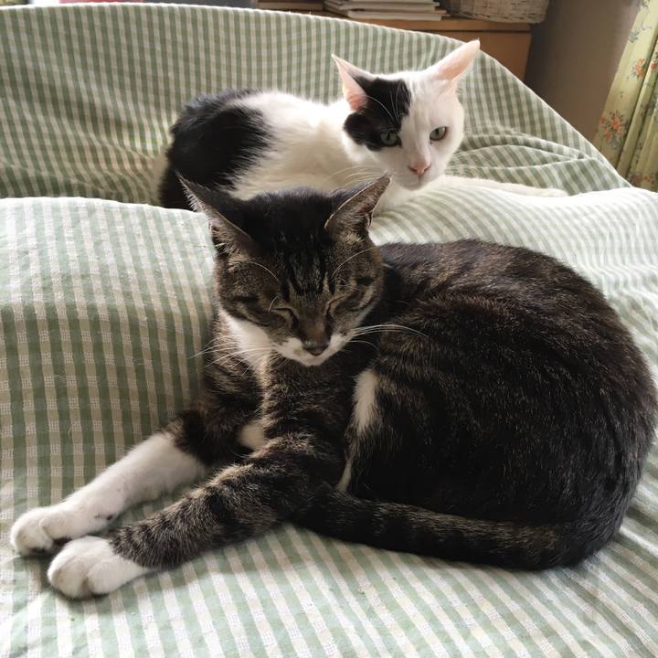 014eac7d 4320 44c4 ad84 ff52368f6c56