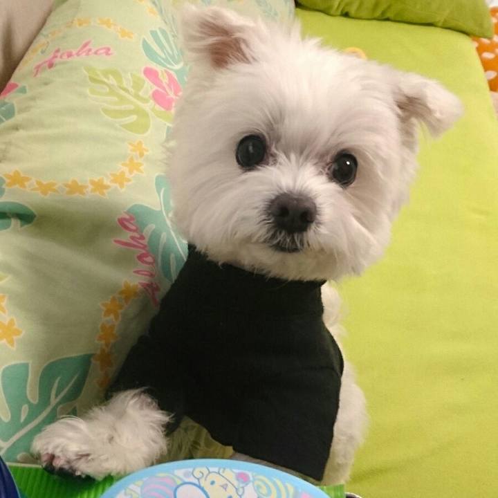 014fd240 73ec 44cb 8858 a051d0e26886