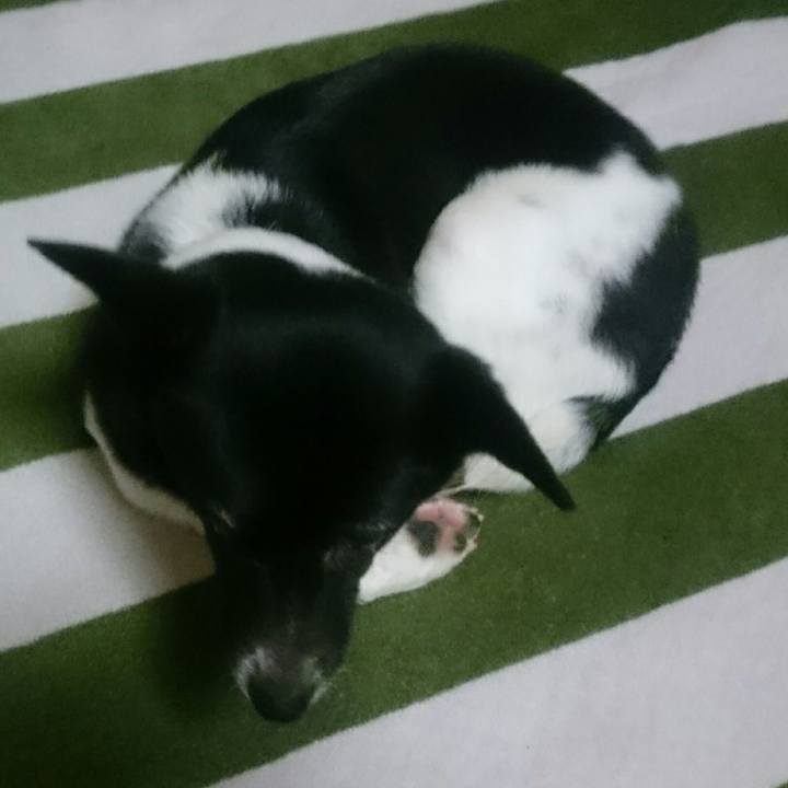 015007d9 063f 4e33 a788 41987dfca758