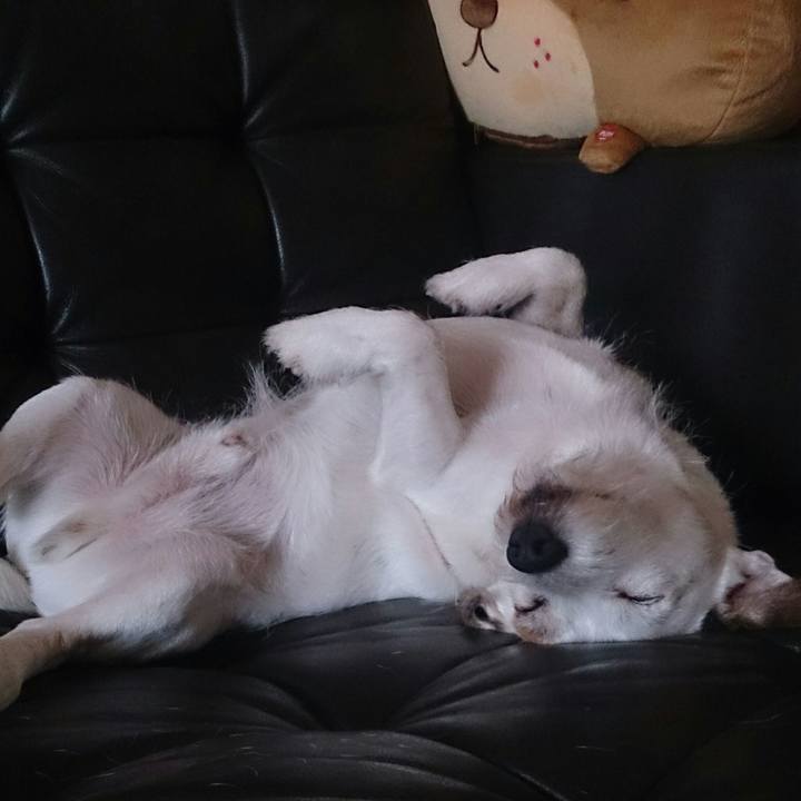 01501308 32e3 4dc7 a610 8e7c37d8237c