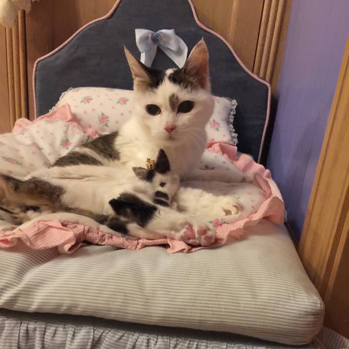 015016f5 b4c5 4e74 920a 67f868ef8d96