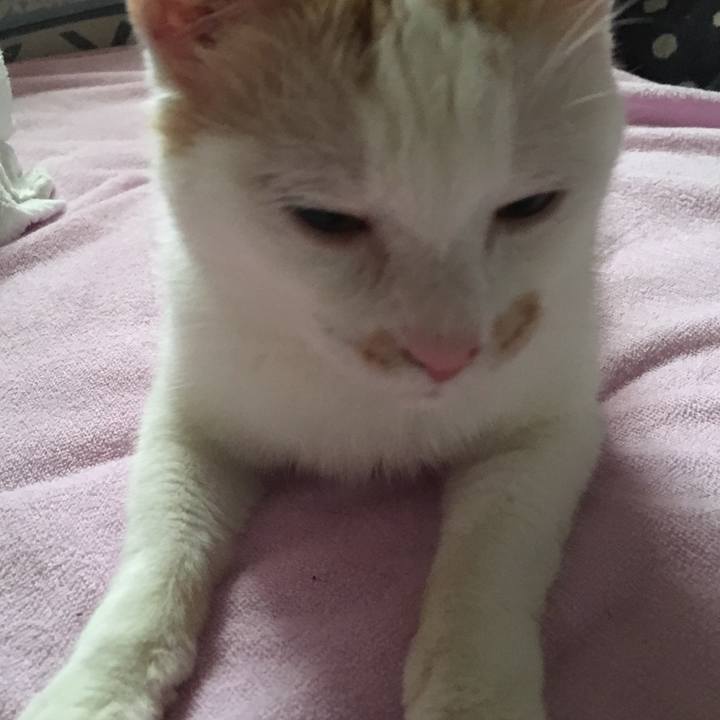 015072a9 c8dc 4dbc 97cc 8e58e5c162fd