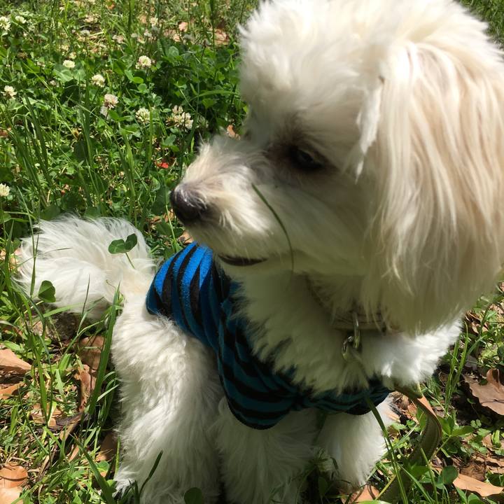 0150b1cb 4077 46d2 b030 77f761a43962