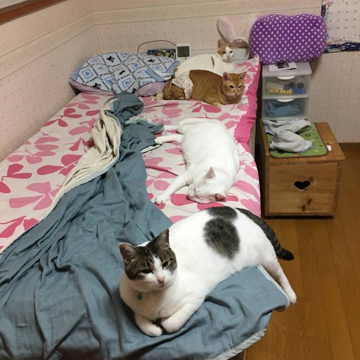 0150ce4a 8d14 465d 9081 051f2a37cd87