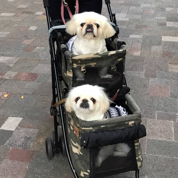 0150f198 cf6f 44b0 a04a 26403c5a58e6