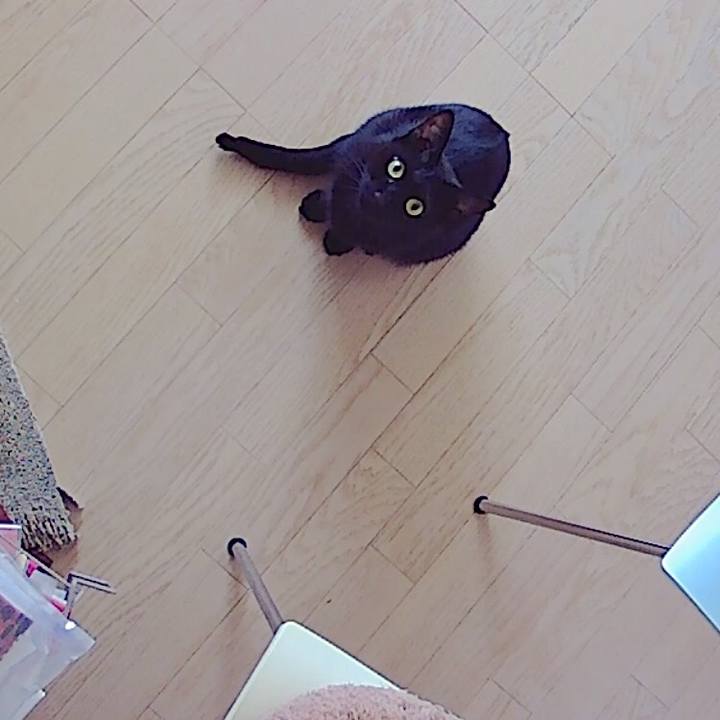 01510afe 1b24 44df b9ac 6ce8fb437d13