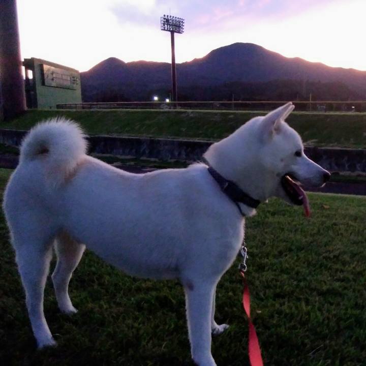 0151bf5f 6653 46bb adc8 2d694b0363e3