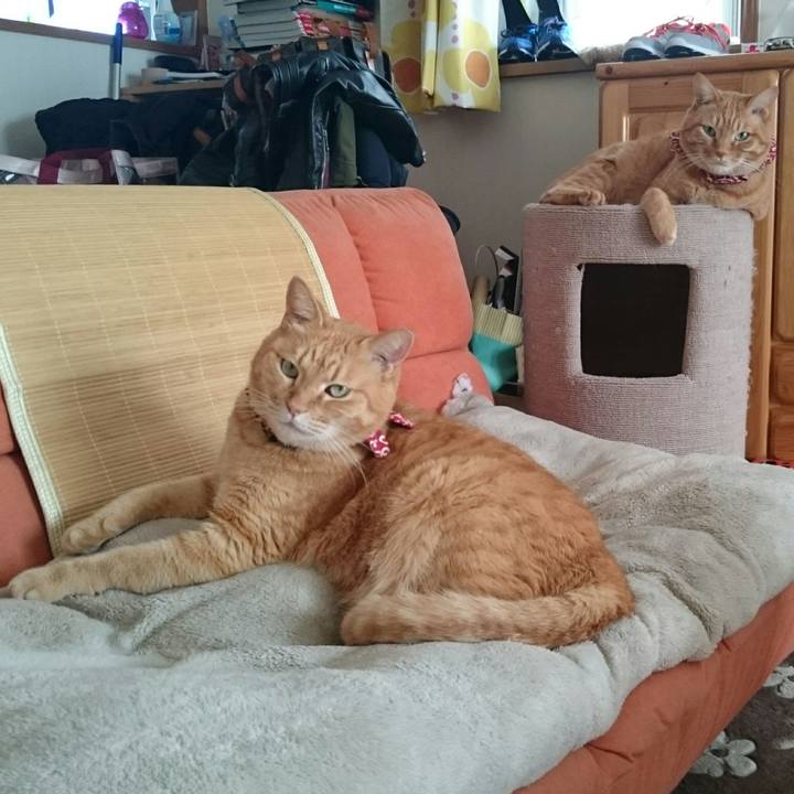 0153ac21 c44b 4c19 b009 d47d46014b97