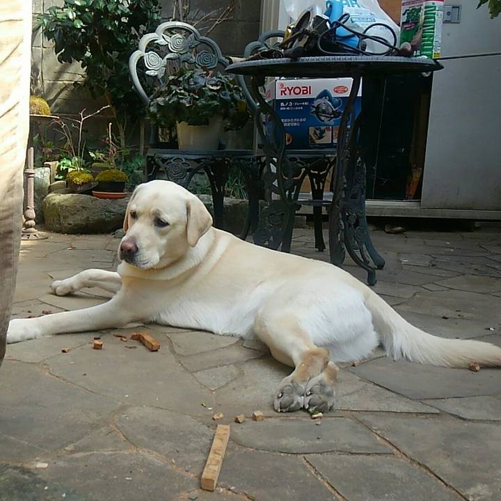 0153e4ea 67ea 433b 9e90 9e27e9cc201b