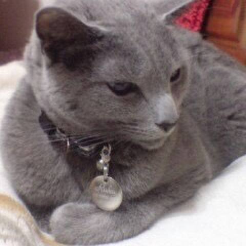 01569094 63b7 44fe 9437 fd419c5ad6d9