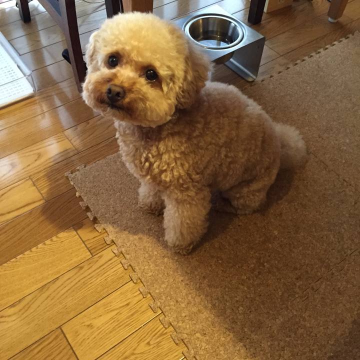 01570a5c 802f 427e 96ac fb4f852011c8