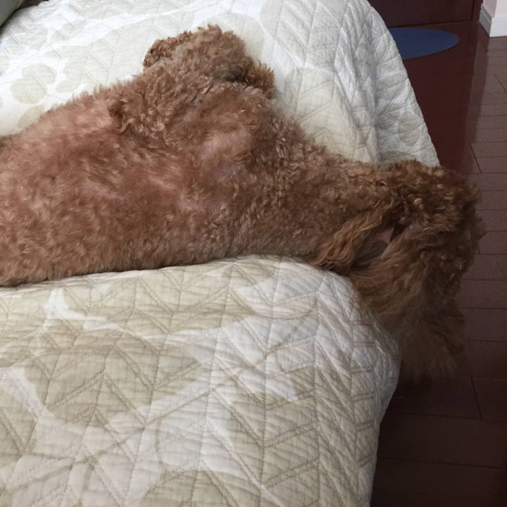 01574f33 978e 4db5 a3f7 ca1dcb0cced6