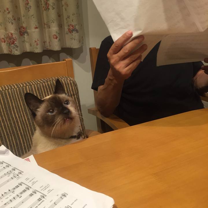 0157a9b9 ad23 4fd6 8d02 dcce858ed79e