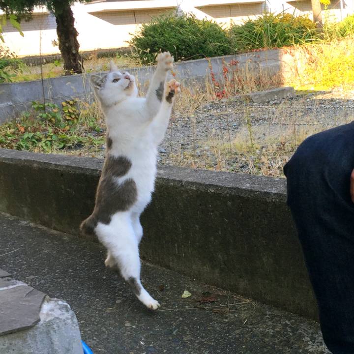 01582973 8e82 4707 ab9d 9cb19d00e437