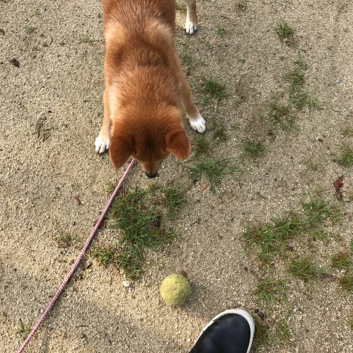 01583716 0d7b 4d07 ae53 3b1f111291d7