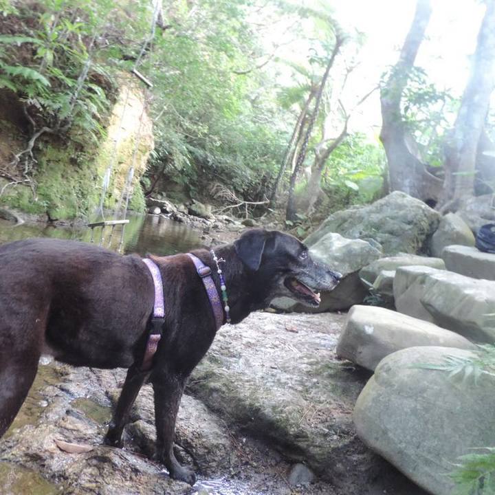 0158a12c 5272 4ff5 a590 ad3f66b346ec