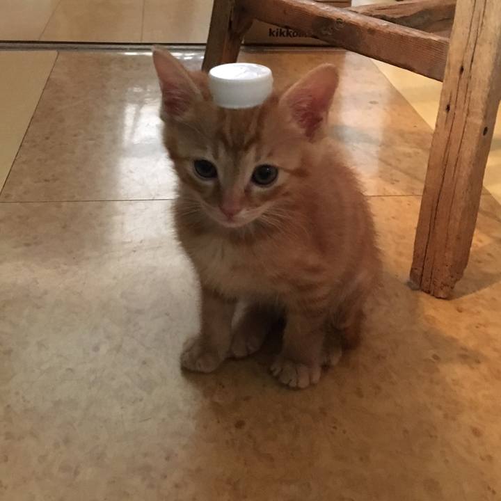 0158c646 d1d3 4620 9a7c 3705e1e7053d