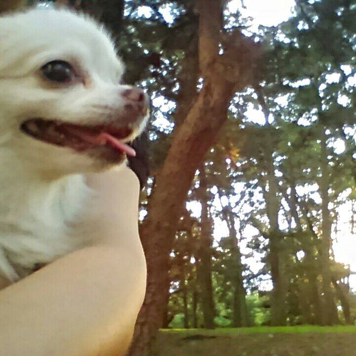 0158e20f aeeb 4d7f a396 91c8e40c9368