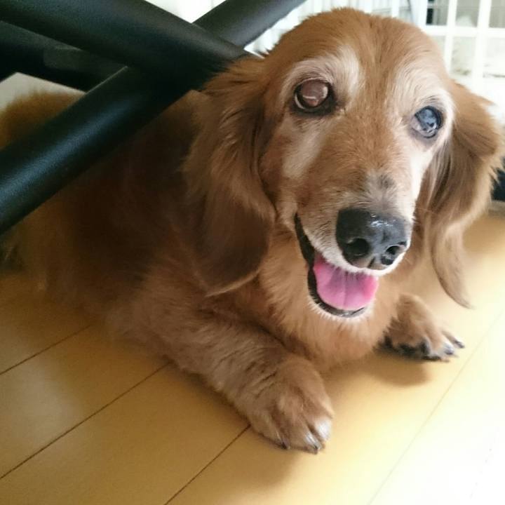 0158f278 df40 4407 9be5 f6d0f308fdb9