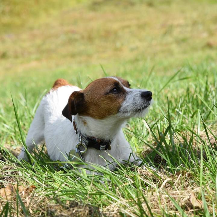 0159605f d143 4986 9c96 a5c1d0c22be5