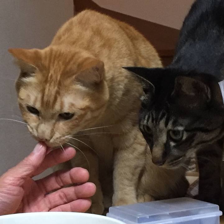 015a54f8 9250 4c0f a421 d5c6681f6d13