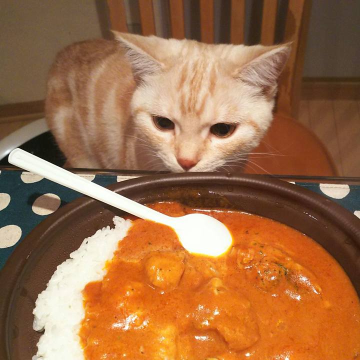 015b0104 3dd7 4551 8b76 b788e8e5df5e